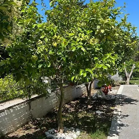 Nikiana's View, 3 Bedroom Apartman